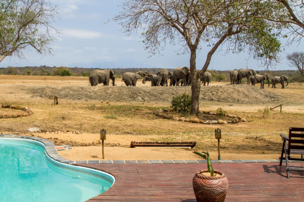Tangala Safari Camp * Thornybush Game Reserve