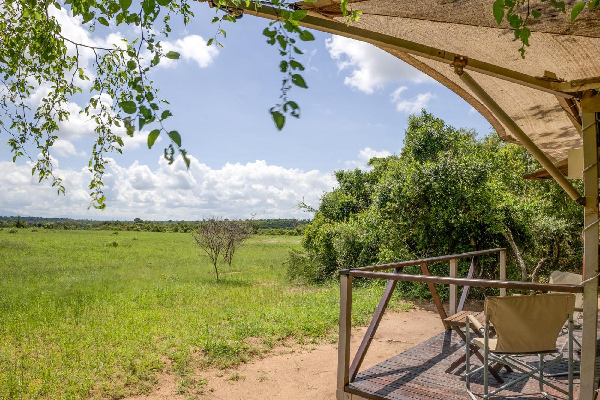 Lodge Tangala Safari Camp Thornybush Game Reserve