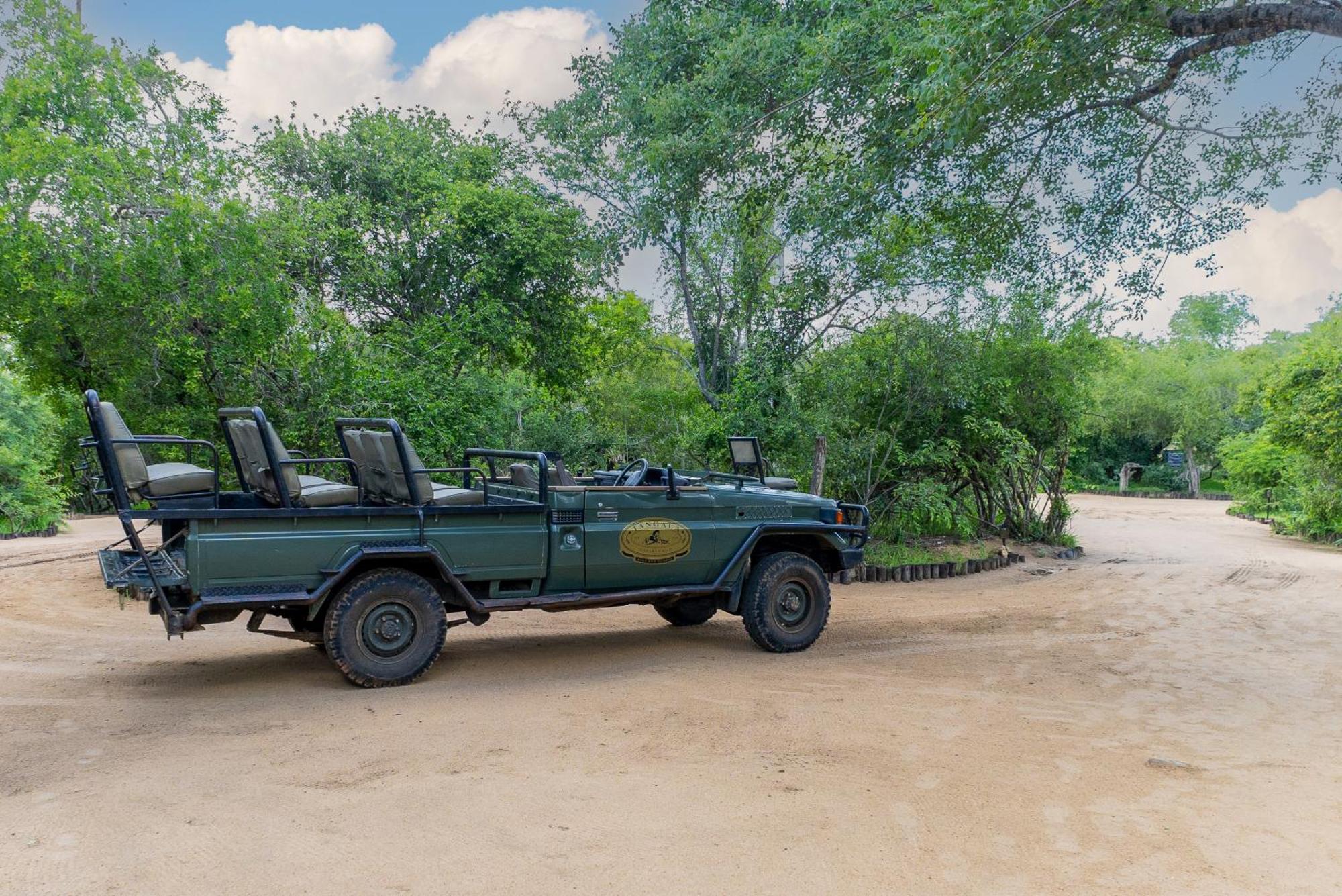 Lodge Tangala Safari Camp Thornybush Game Reserve