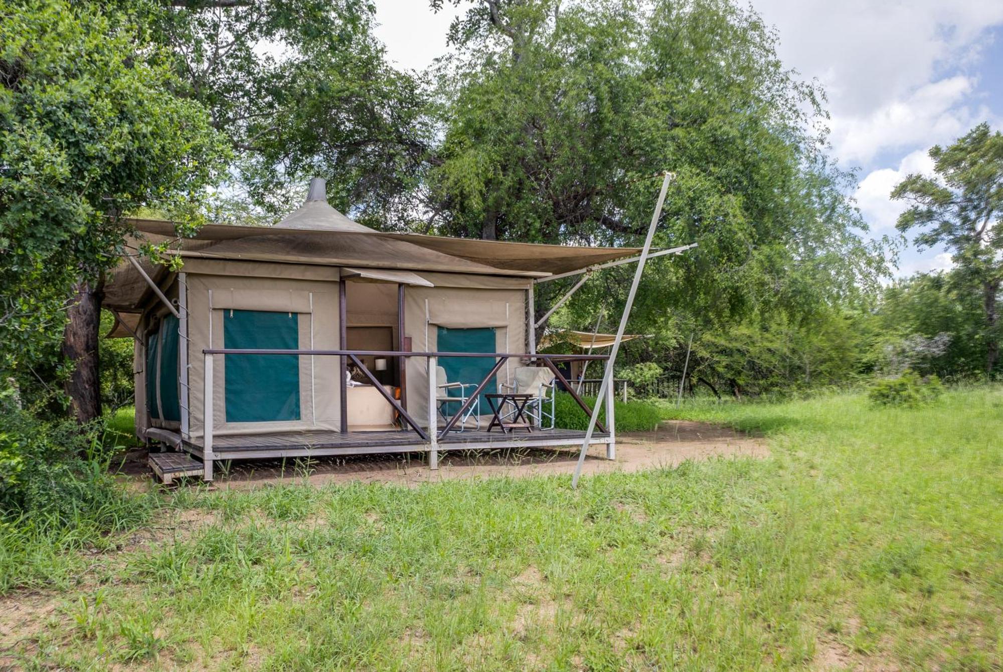 Tangala Safari Camp Thornybush Game Reserve