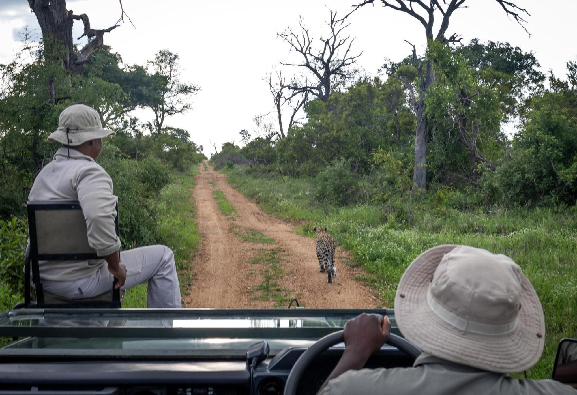 Tangala Safari Camp