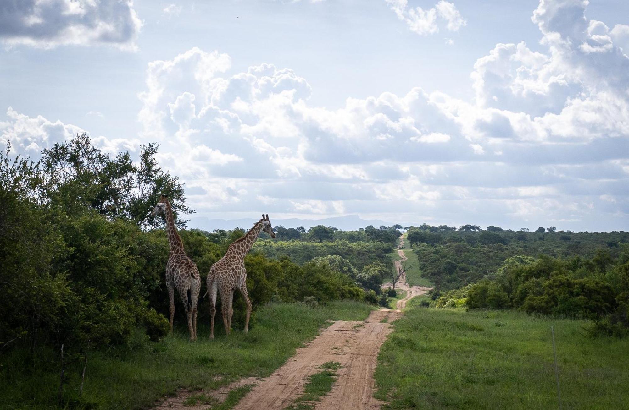 Tangala Safari Camp Lodge *